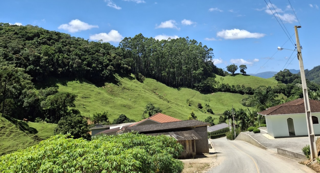 Estudo Ambiental: O que é, Finalidade e Como Contratar?