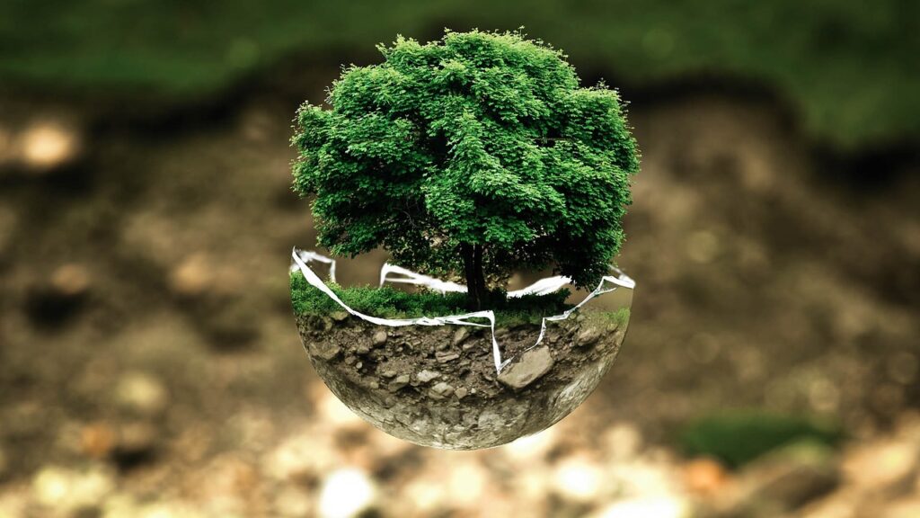Gestão Ambiental e Economia: Como Reduzir Custos e Aumentar a Eficiência com Práticas Sustentáveis