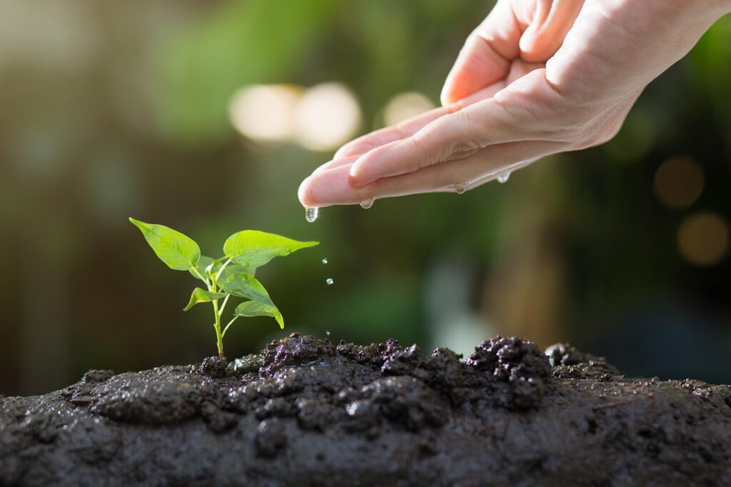 Responsabilidade Socioambiental: O que é, Exemplos Práticos e Benefícios para Empresas